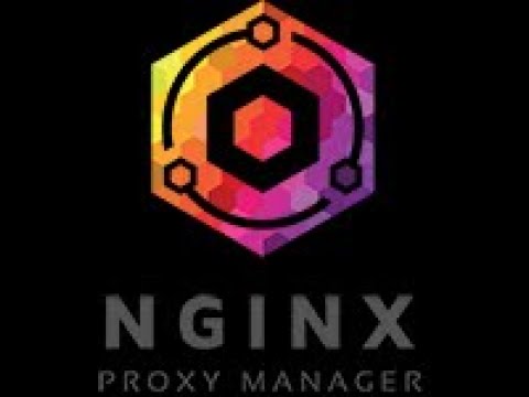Ningx Proxy Manager